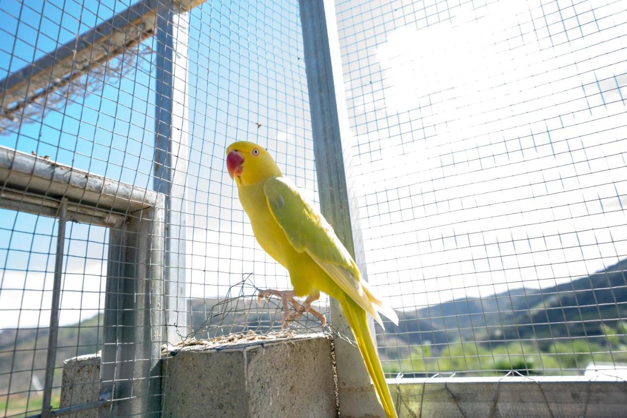 Reul Alto Cortijos Rurales Konuk evi Laroya Dış mekan fotoğraf