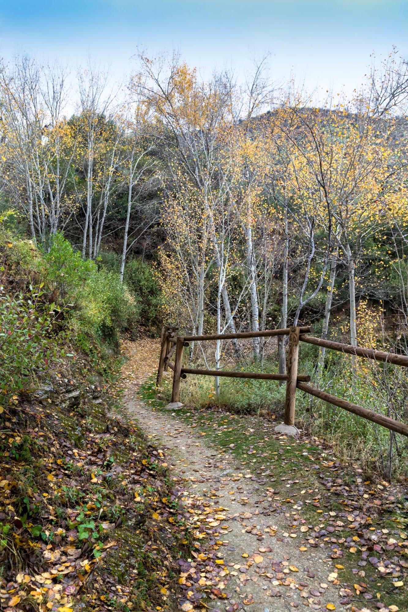 Reul Alto Cortijos Rurales Konuk evi Laroya Dış mekan fotoğraf
