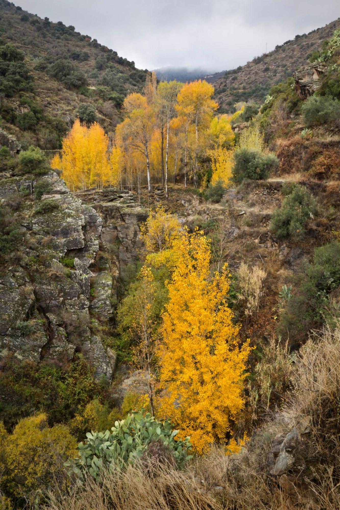 Reul Alto Cortijos Rurales Konuk evi Laroya Dış mekan fotoğraf