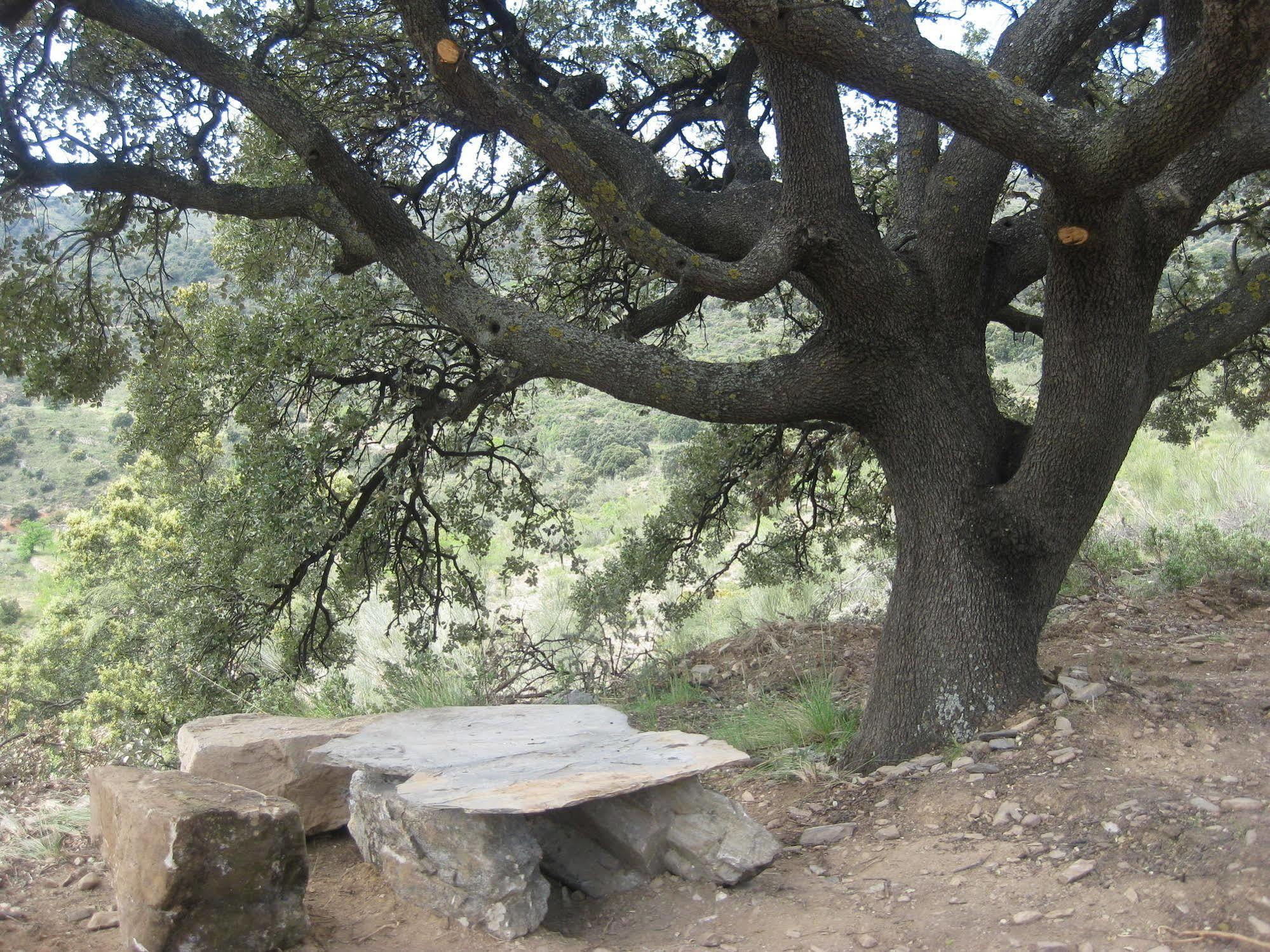Reul Alto Cortijos Rurales Konuk evi Laroya Dış mekan fotoğraf